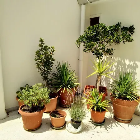 Bed & Breakfast Il Cantone *